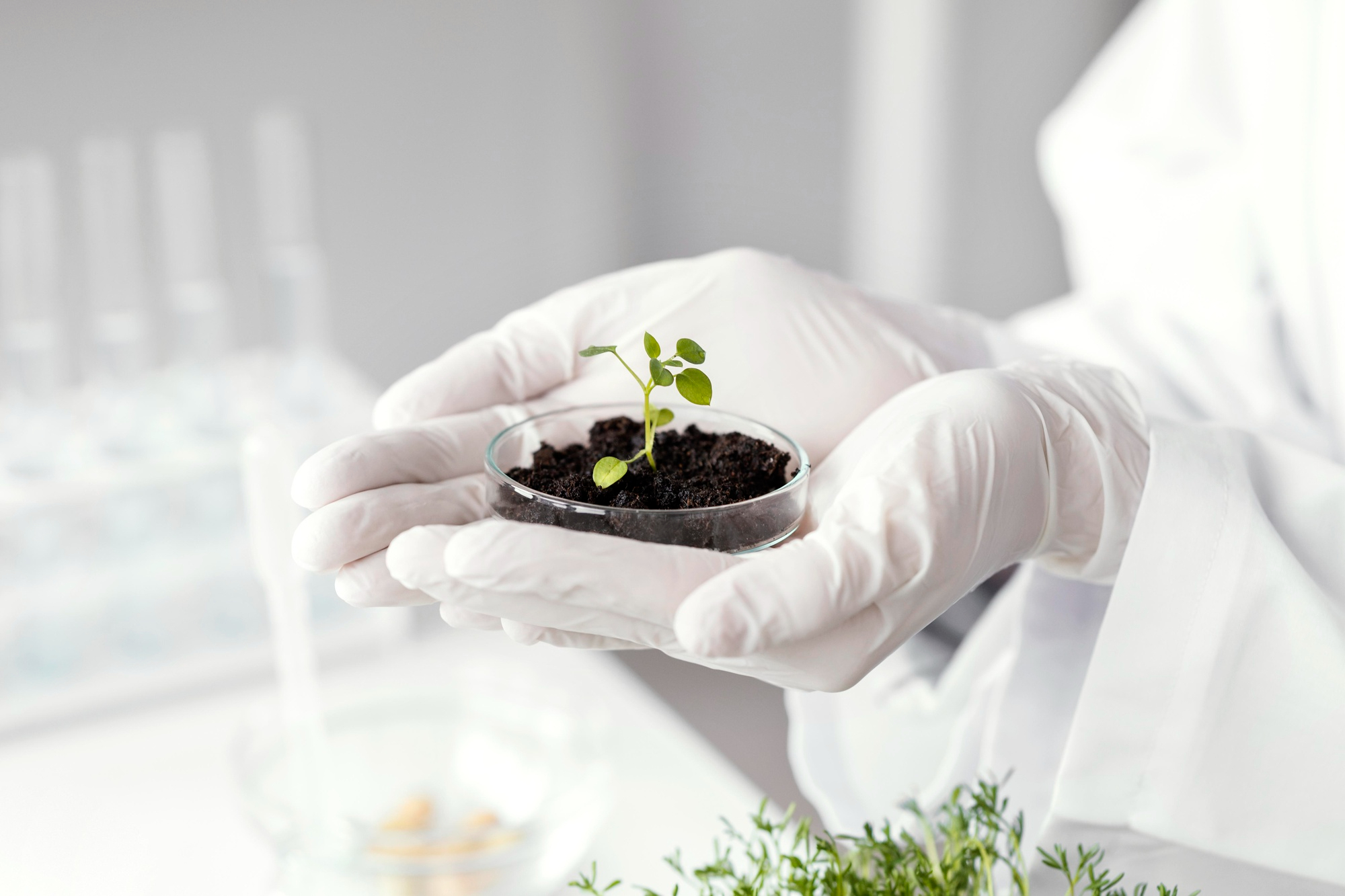 Laboratórios de solo: temos o que você precisa!