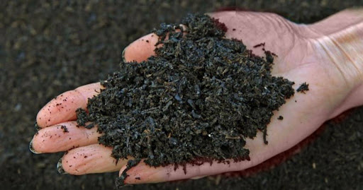 Biochar e BioC-Enz: a base tecnológica da regeneração do solo